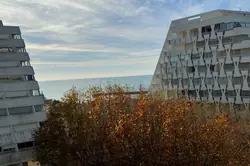 Vente appartement La Grande-Motte  