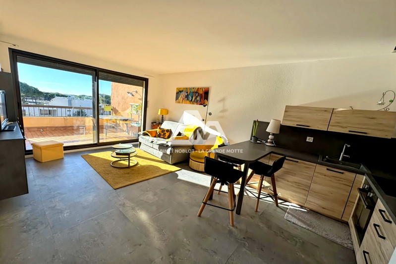 Appartement Le Grau-du-Roi   achat appartement  2 pièces   46&nbsp;m&sup2;