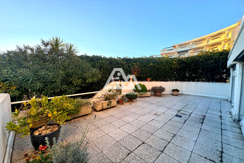 Appartement La Grande-Motte Couchant,   achat appartement  4 pièces   76&nbsp;m&sup2;