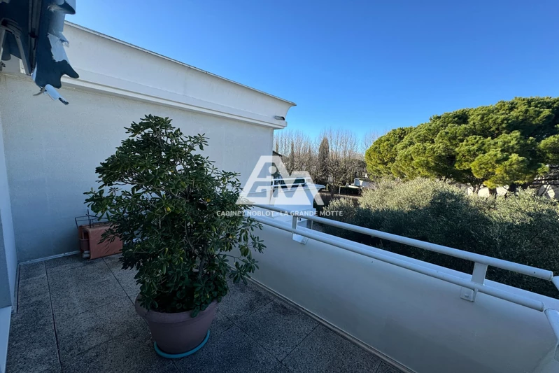 Viager appartement La Grande-Motte  