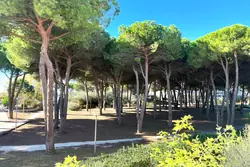 Vente appartement La Grande-Motte  