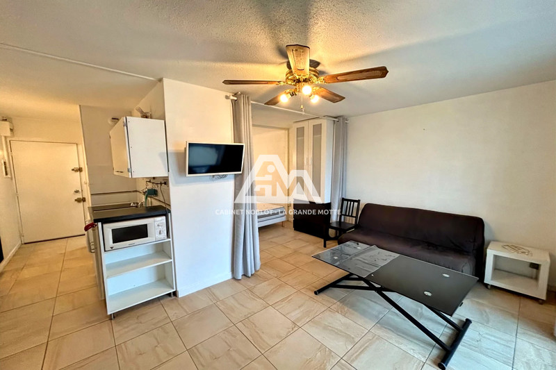 Photo Appartement La Grande-Motte Centre ville,   achat appartement  1 pièce   29&nbsp;m&sup2;