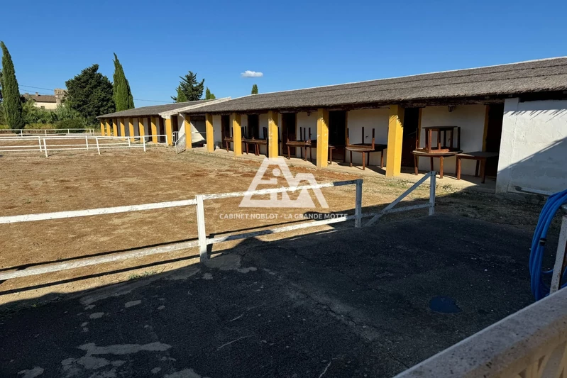 Vente terrain agricole Saint-Laurent-d'Aigouze  