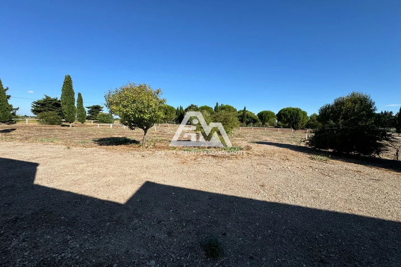 Vente terrain agricole Saint-Laurent-d'Aigouze  