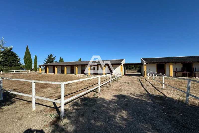 Vente terrain agricole Saint-Laurent-d'Aigouze  