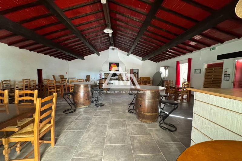 Vente terrain agricole Saint-Laurent-d'Aigouze  