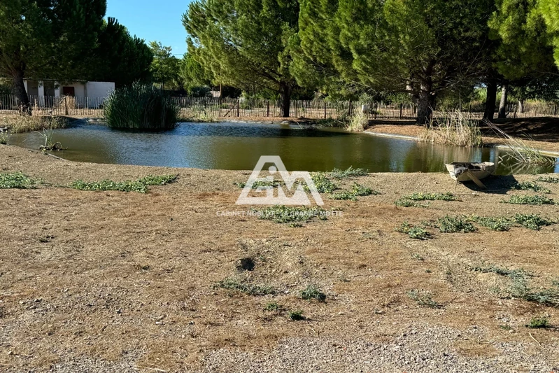Vente terrain agricole Saint-Laurent-d'Aigouze  