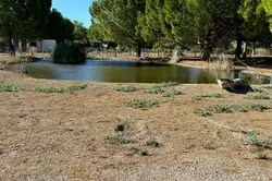 Vente terrain agricole Saint-Laurent-d'Aigouze  