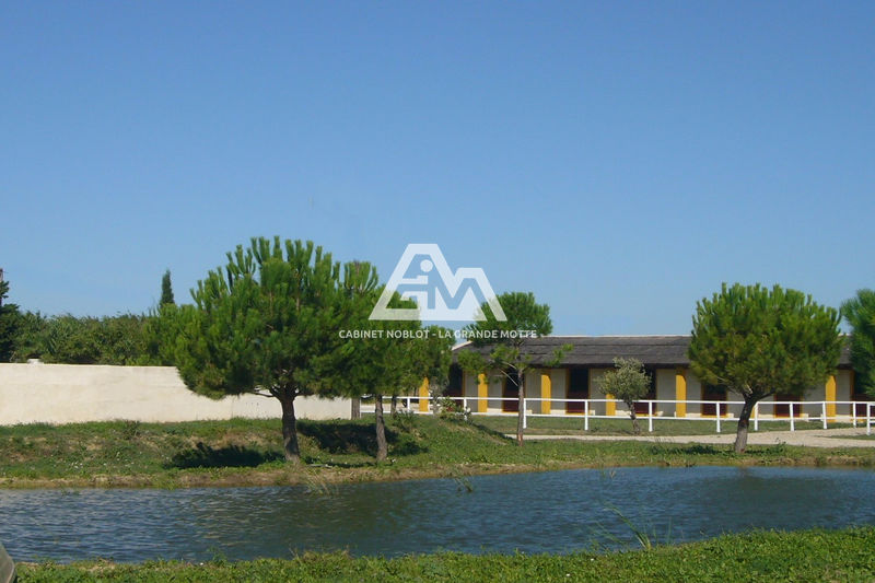 vente Maison propriété Aigues-mortes Propriété Aigues-Mortes achat propriété 6 pièces 240 m²
