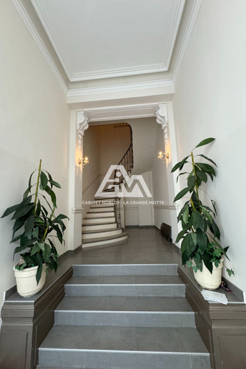 Professionnel hôtel particulier Montpellier  