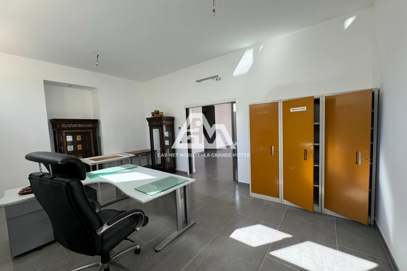 Professionnel hôtel particulier Montpellier  