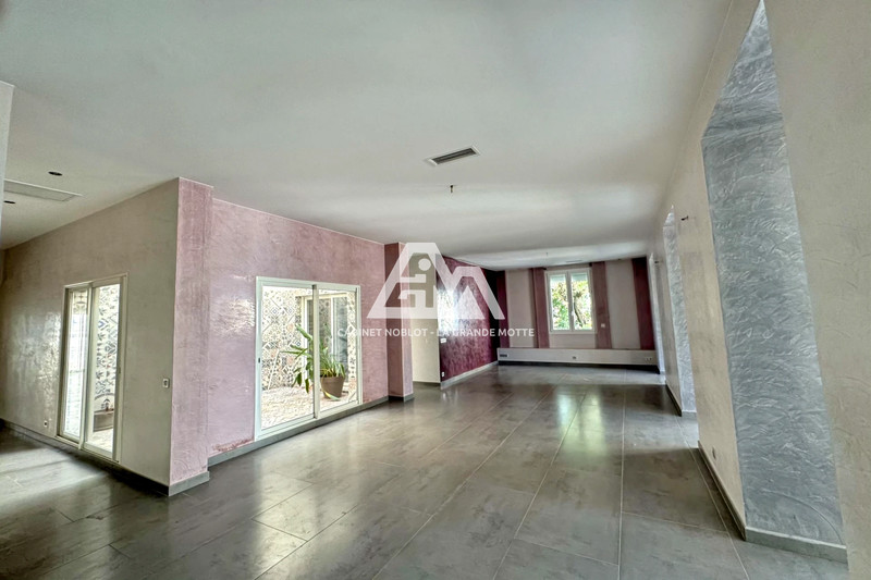 Hôtel particulier Montpellier Centre ville,  Professionnel hôtel particulier  6 pièces   269&nbsp;m&sup2;