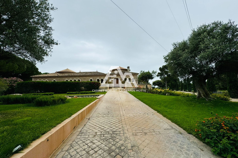 Vente maison de maître Mireval  