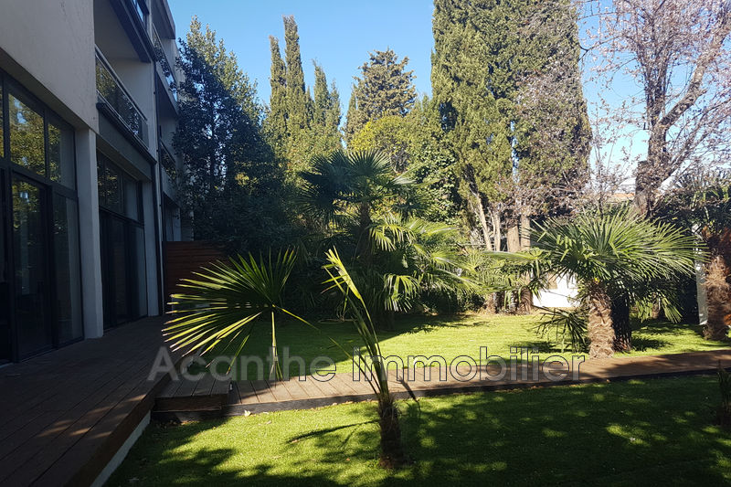 Photo Appartement Montpellier La chamberte, Location saisonnière appartement 3 pièces 105 m²