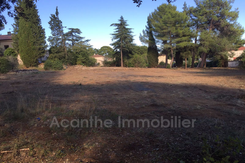 Photo Terrain Castelnau-le-Lez achat terrain 1048 m²