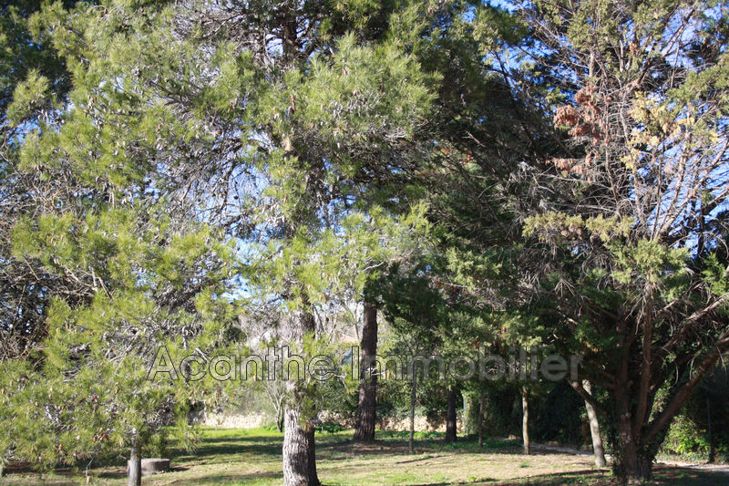 Photo Maison Montpellier achat maison 226 m²