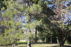 Photos Maison à vendre Montpellier 34090