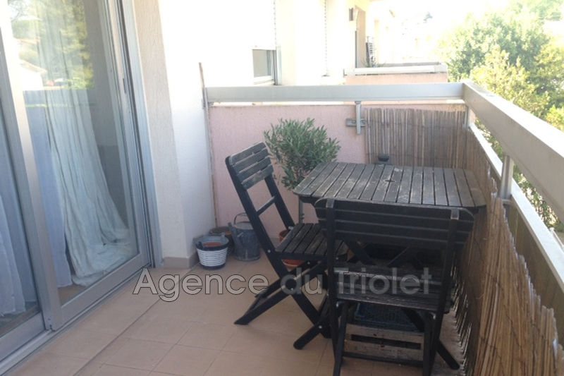 Location Appartement Montpellier 34090 667 Twimmocom