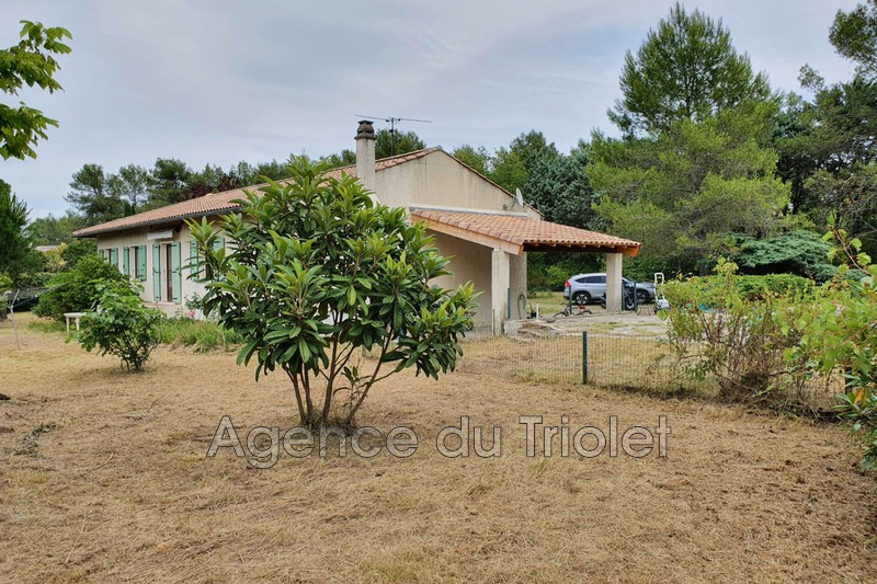 Vente maison Saint-Clément-de-Rivière  