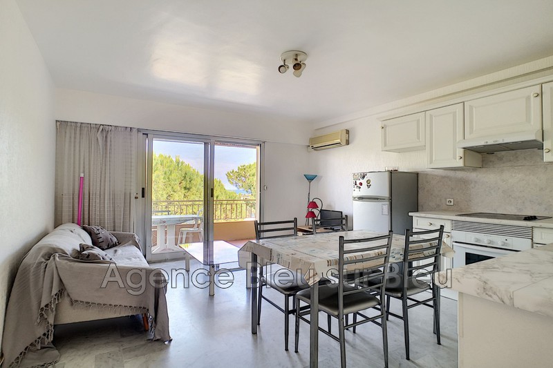 vente Appartement Antibes Piscine Appartement Antibes Piscine, achat appartement 3 pièces 46 m²
