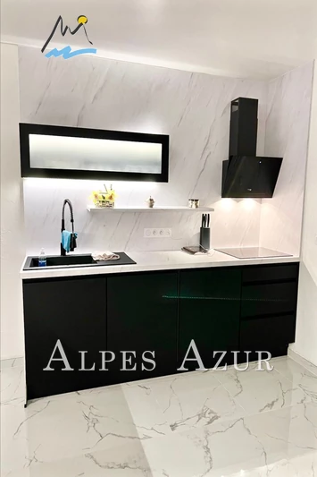 Vente villa Villeneuve-Loubet  