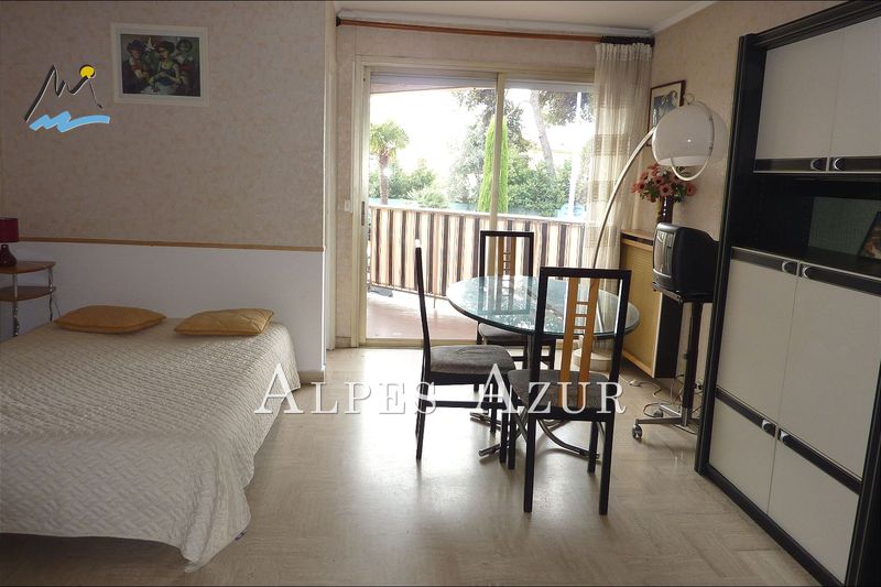 vente Appartement Cagnes-sur-mer Pinède Appartement Cagnes-sur-Mer Pinède, achat appartement 1 pièce 31 m²