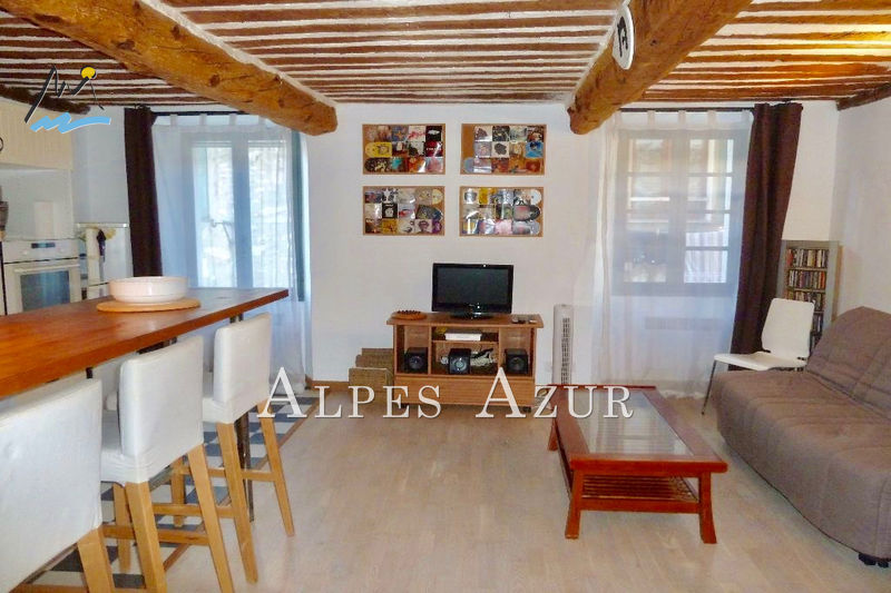 vente Appartement Vence Village Appartement Vence Village, achat appartement 1 pièce 30 m²