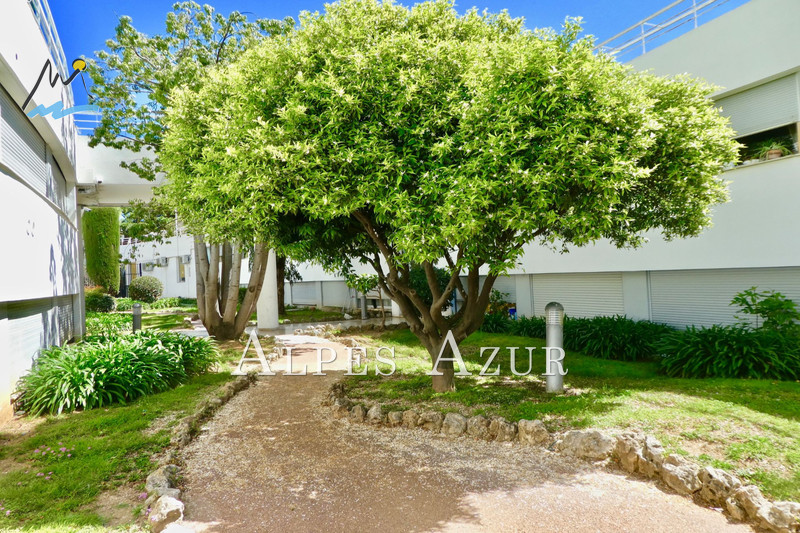 Vente appartement Villeneuve-Loubet  