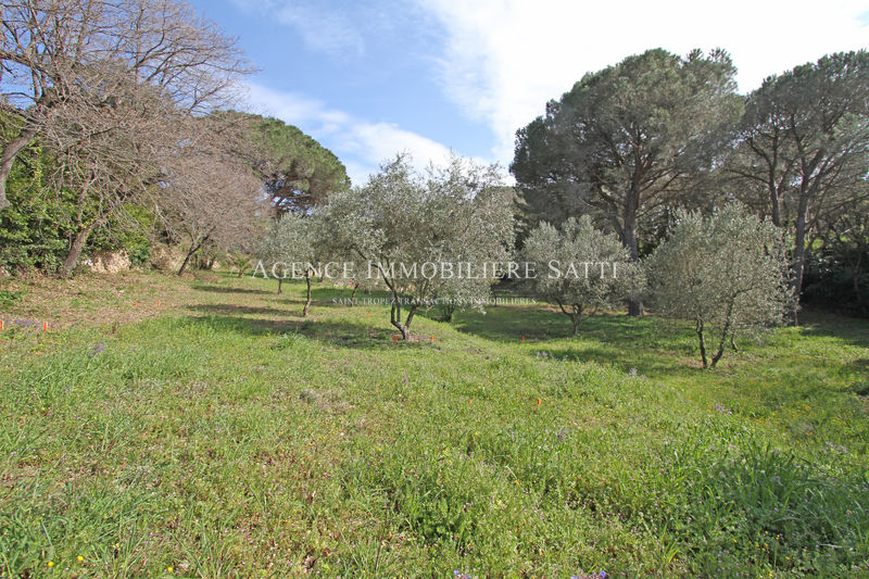 Photo Terrain Saint-Tropez achat terrain 2155 m²