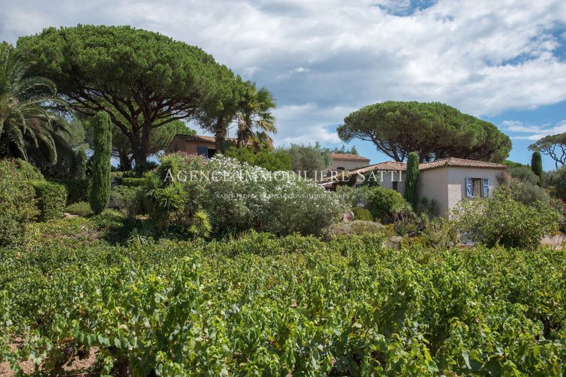 Photo Villa Saint-Tropez achat villa 4 chambres 263 m²