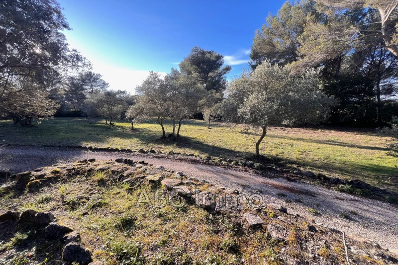 Location villa provençale Aix-en-Provence  