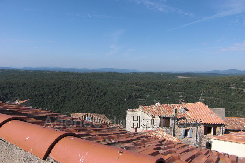 vente Appartement Saint-cézaire-sur-siagne Village Appartement Saint-Cézaire-sur-Siagne Village, achat appartement 7 pièces 129 m²