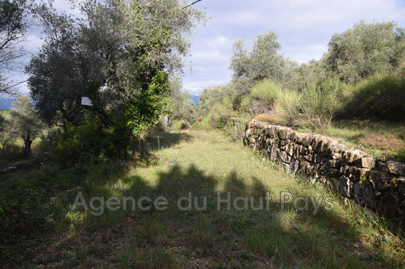 vente Land Saint-cézaire-sur-siagne Residential Land Saint-Cézaire-sur-Siagne Résidentiel, to buy land 5981 m²