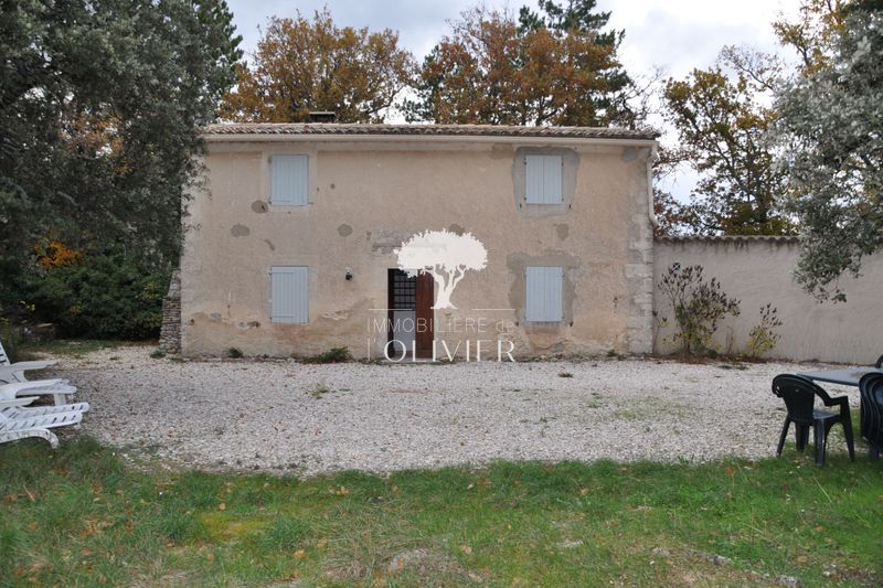 A Louer En Provence Dans Le Luberon Olivier Immo