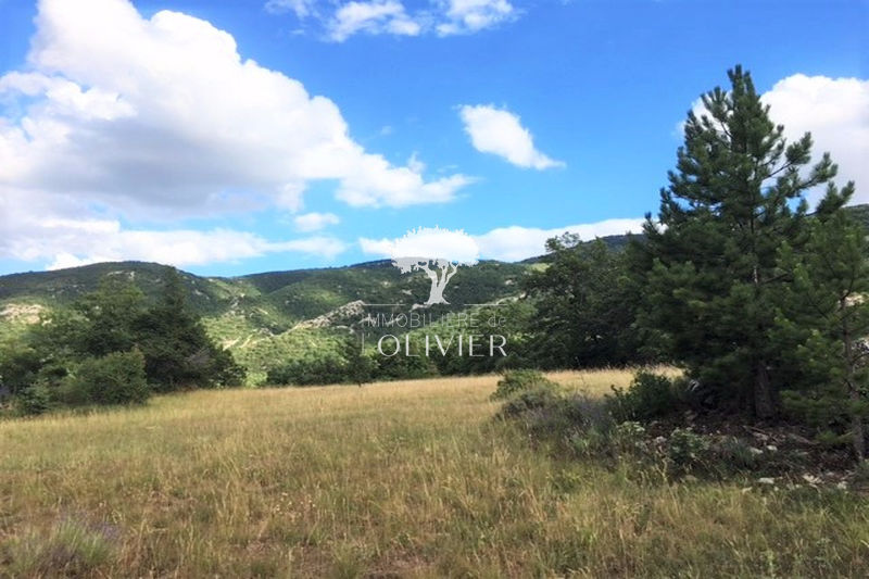 Photo Terrain Auribeau achat terrain 4892 m²