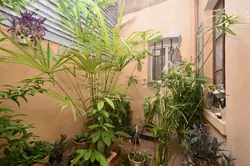 Vente idéal investisseur Apt  