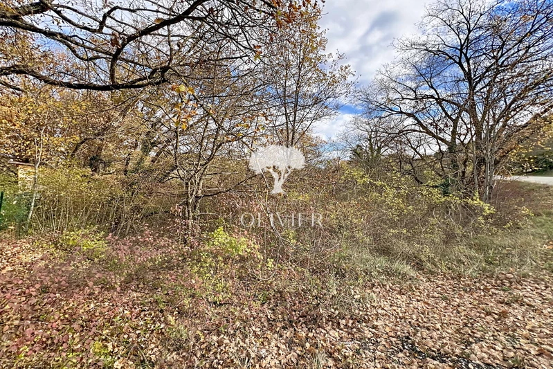 Photo Terrain Saint-Martin-de-Castillon Luberon,   achat terrain   963&nbsp;m&sup2;