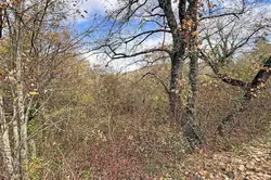 Vente terrain Saint-Martin-de-Castillon  