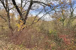 Vente terrain Saint-Martin-de-Castillon  