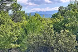 Vente propriété Saint-Saturnin-lès-Apt  