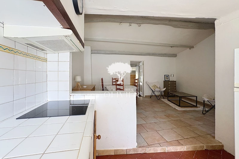 Vente idéal investisseur Apt  