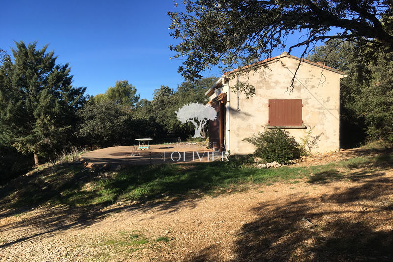 Photo Maison de campagne Saint-Saturnin-lès-Apt Luberon les beaux villages, achat maison de campagne 1 pièce 28 m²