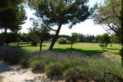 Vente demeure de prestige Maussane-les-Alpilles Vente demeure de prestige Maussane-les-Alpilles