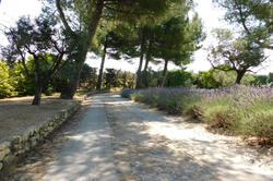 Vente demeure de prestige Maussane-les-Alpilles Vente demeure de prestige Maussane-les-Alpilles
