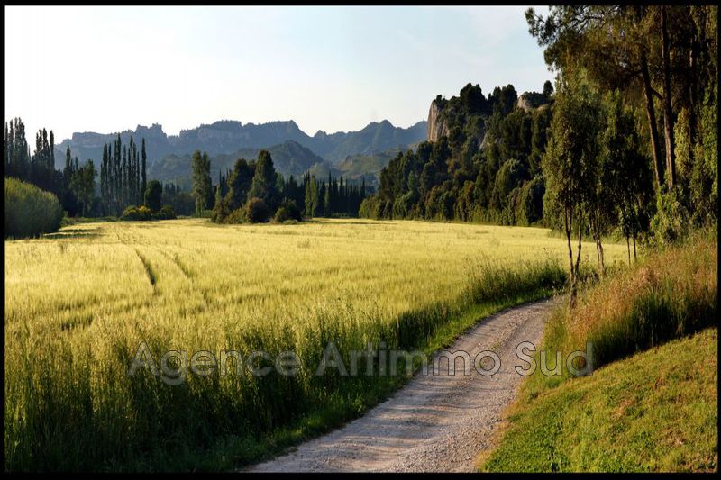 Photo Propriété Maussane-les-Alpilles achat propriété 10 chambres 1200 m²