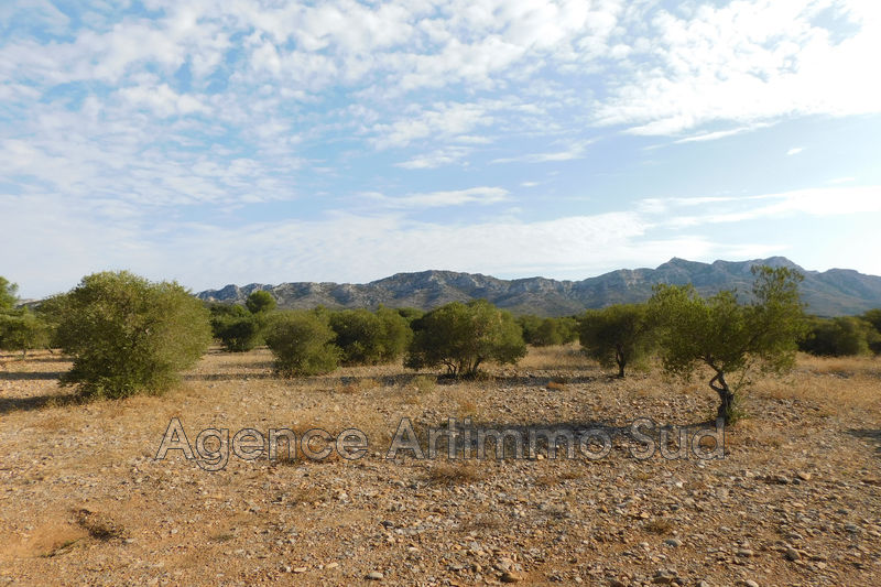 Photo Terrain agricole Aureille Ceinture verte village, achat terrain agricole 17000 m²