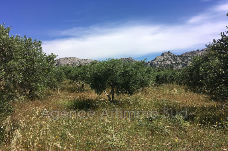 Photo Terrain agricole Aureille Ceinture verte village, achat terrain agricole 10000 m²
