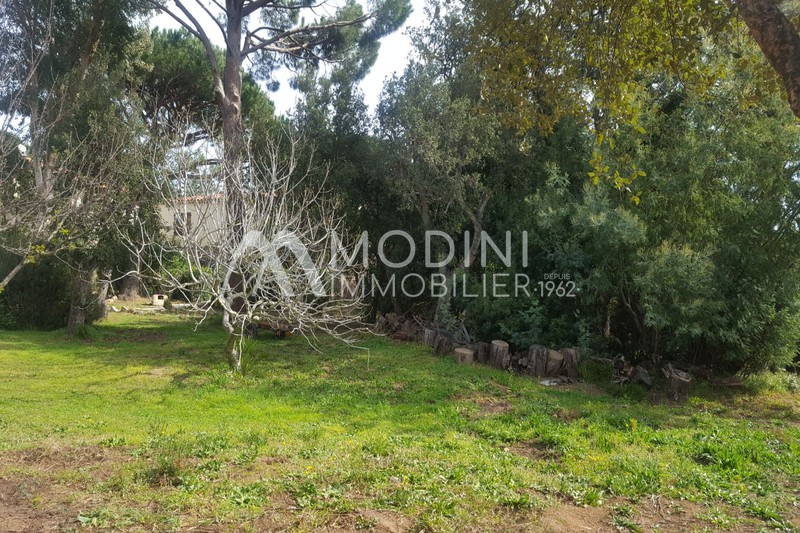 Photo Terrain Grimaud Beauvallon, achat terrain 2000 m²
