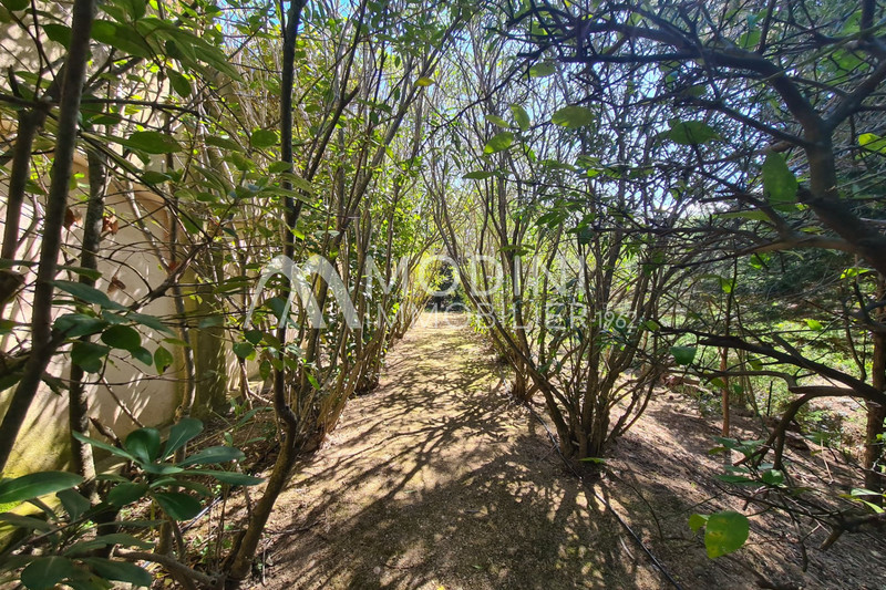 Photo n°16 - Vente Maison villa Grimaud 83310 - 1 890 000 €