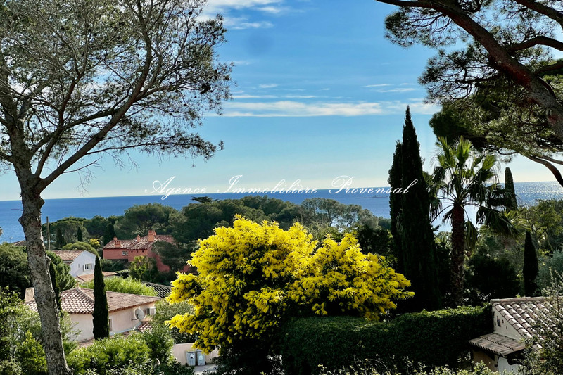 Photo n°3 -  Maison villa Sainte-Maxime 83120 - 2 233 €